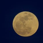 探索sbobet平台的多样化博彩选择与用户体验 7o026i