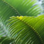 探索IM体育:如何提升你的运动表现与健康水平 cb98b4i4s5