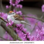 探索tengbo888:全新在线娱乐平台的魅力与优势 f14rt5