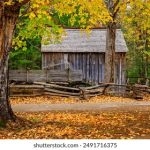 线上赌钱软件的选择与使用技巧大揭秘 ss4d4