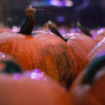 探索allbet欧博真人客户端:畅享真实赌场体验的最佳选择 u1j82